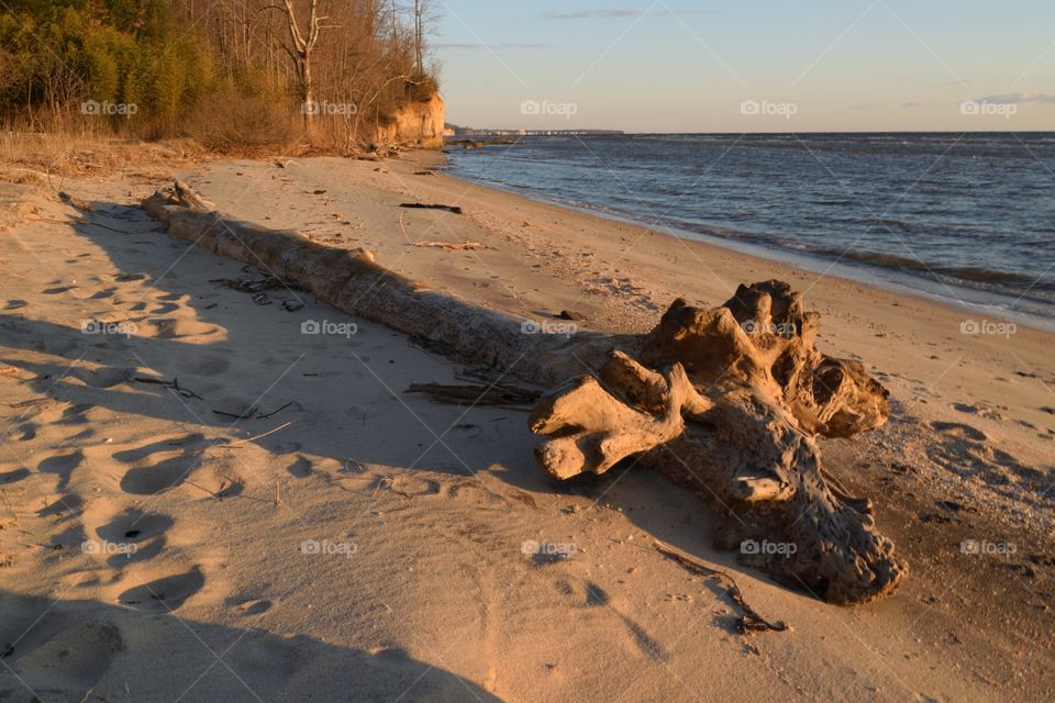 Endless summer on Chesapeake bay