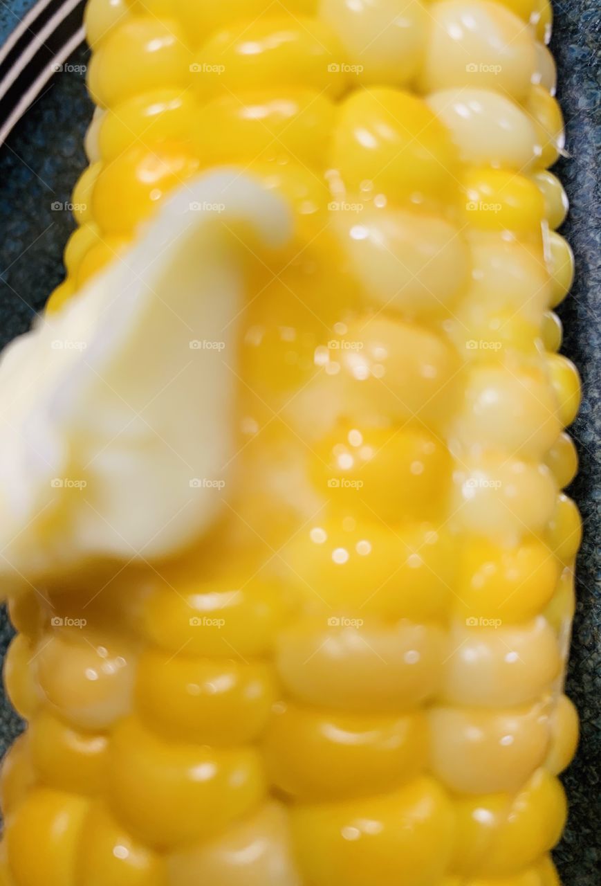 Fresh corn on the cob with butter 