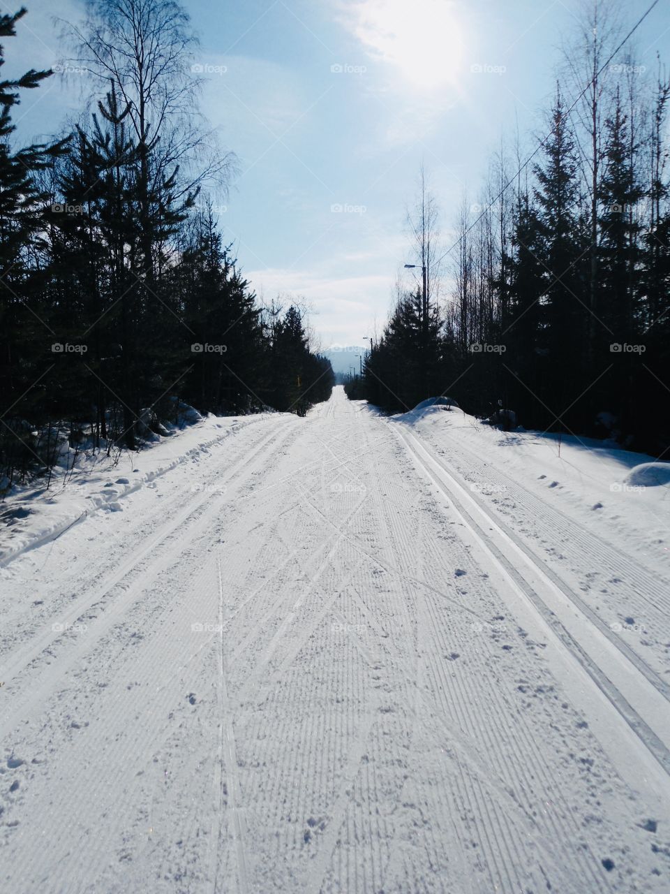 Ski track on a sunny day in eastern Finland 