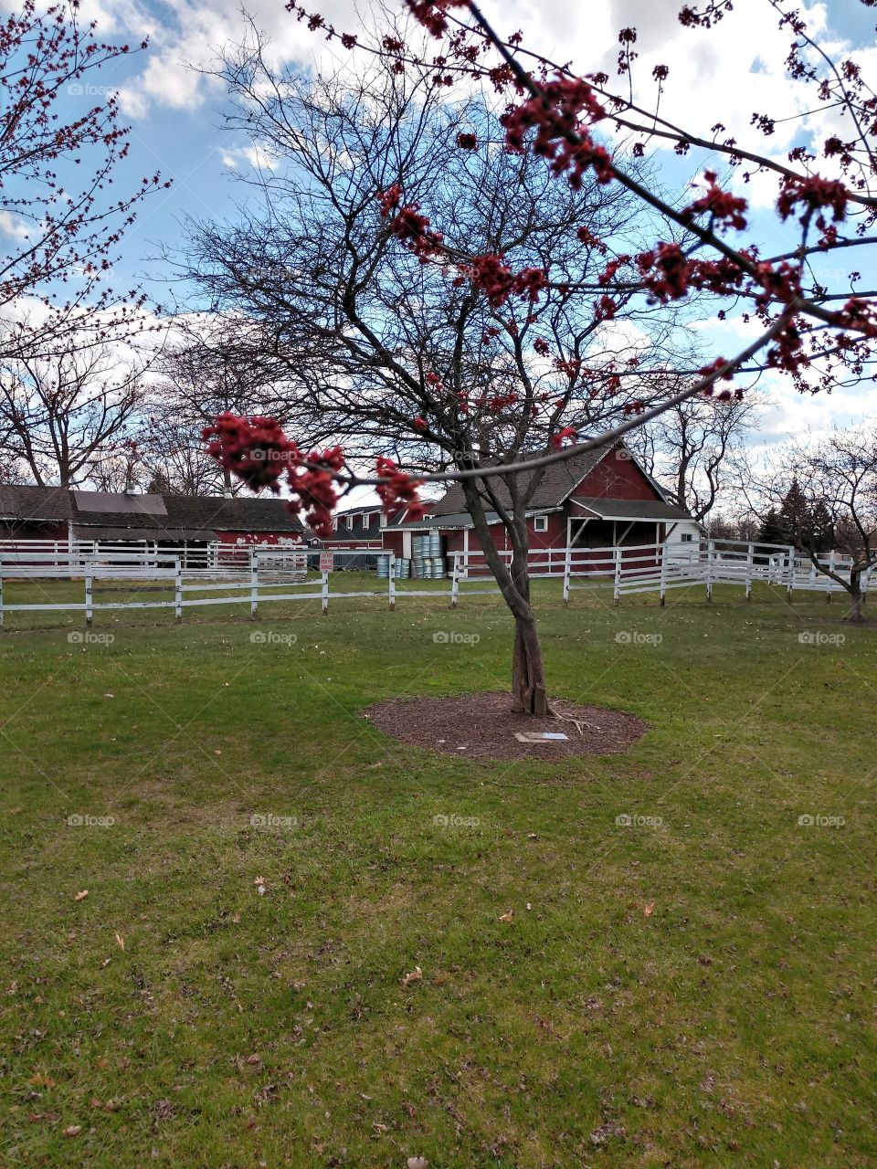 Beautiful spring day