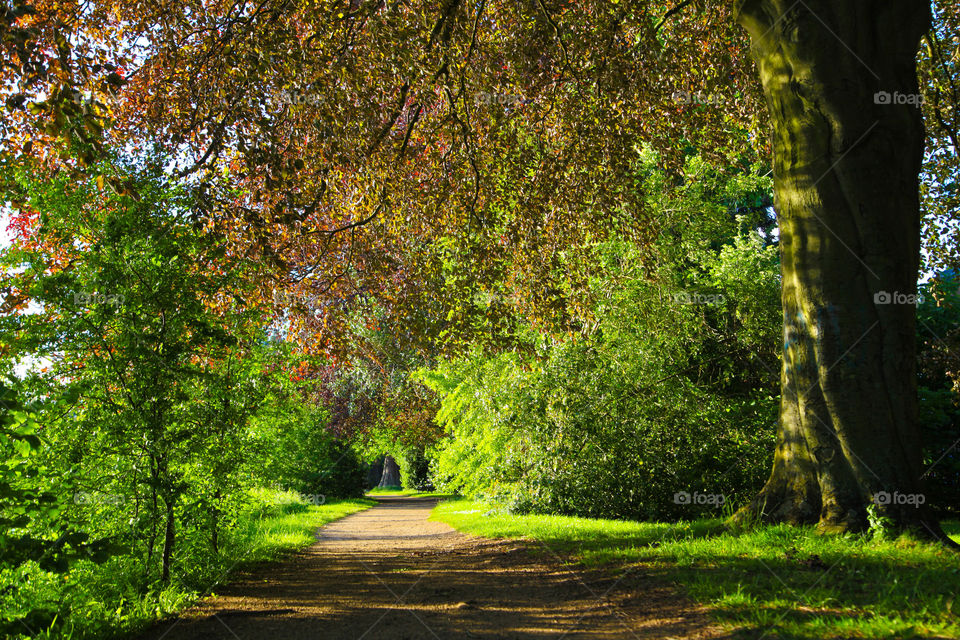 Pathway