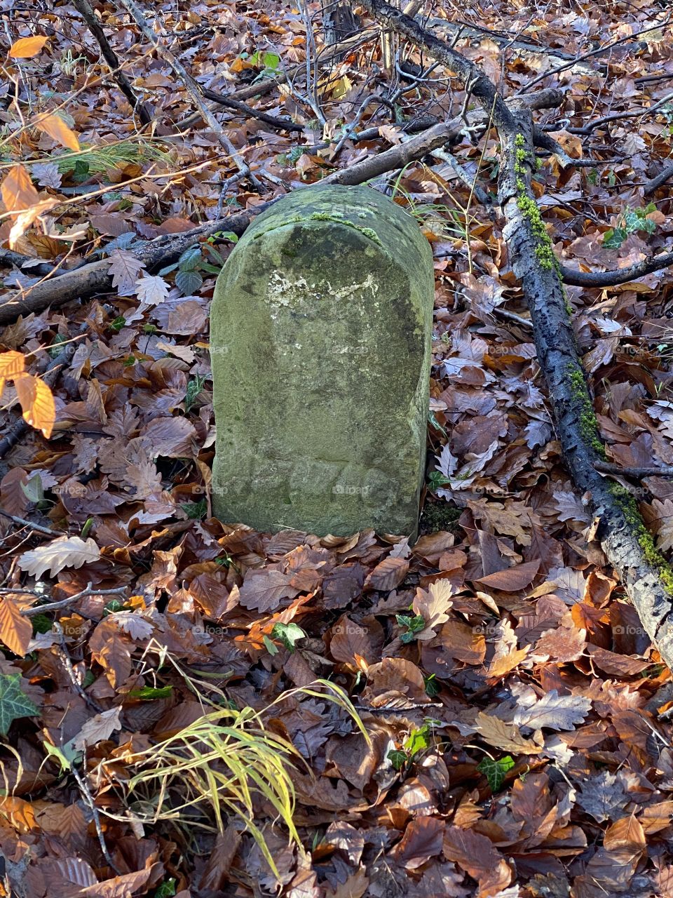 1770 old grave in the woods 