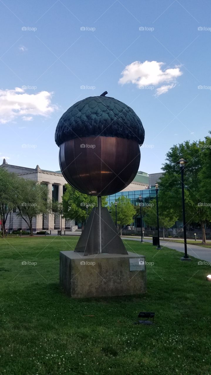 Raleigh Acorn Statue