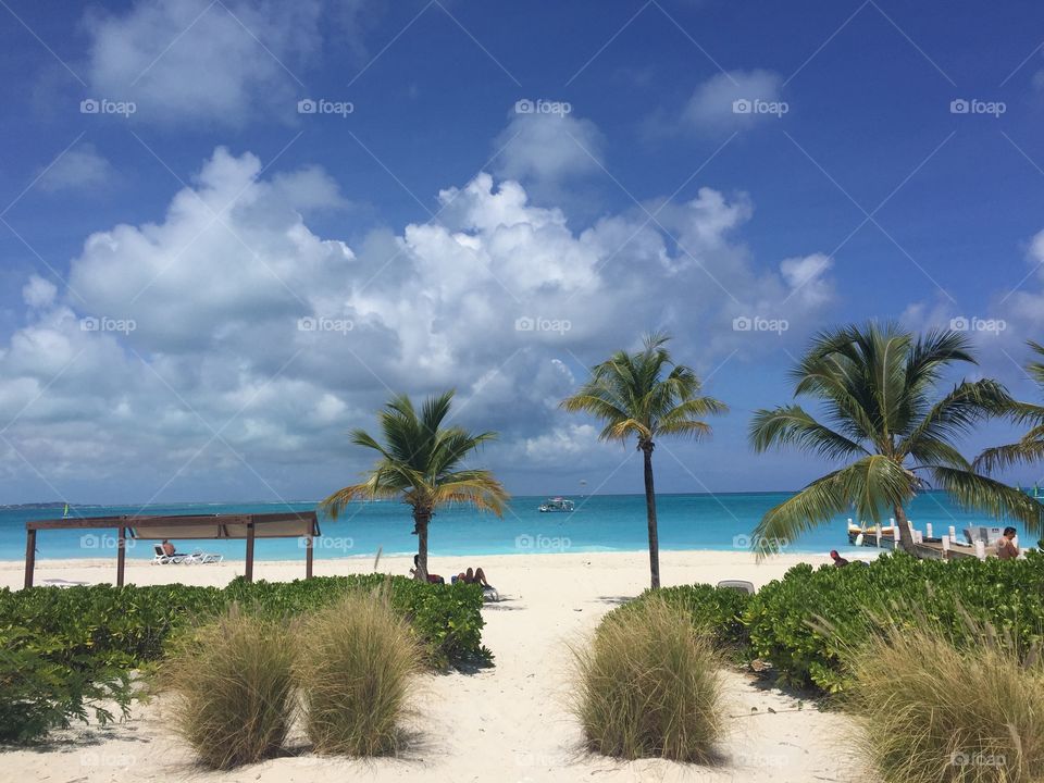 Turks & Caicos beach 