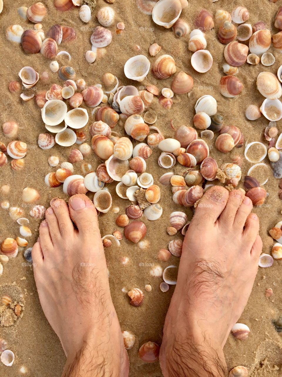 Standing on the beach 