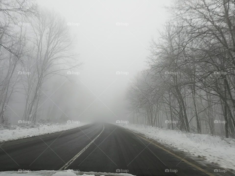 misty road