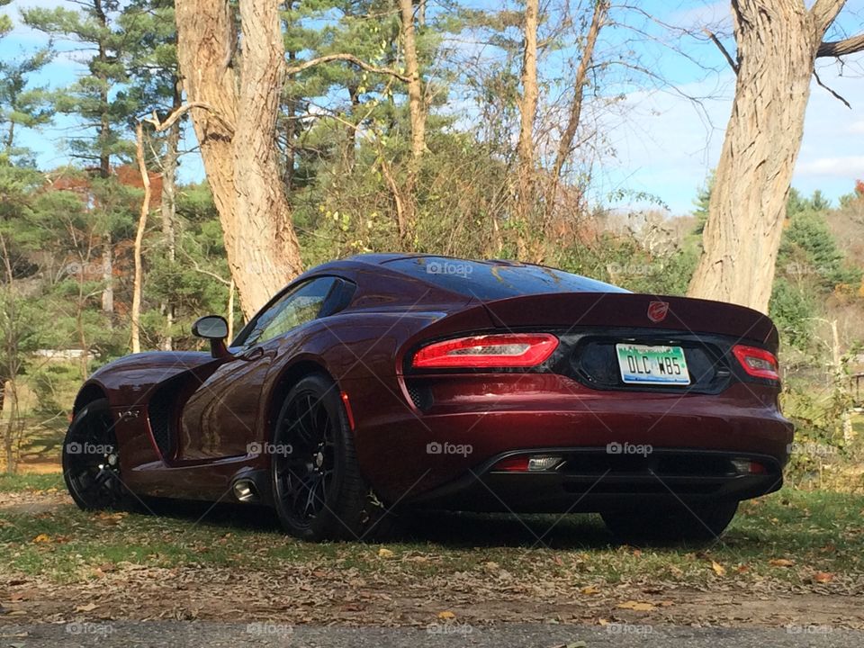Dodge Viper GT