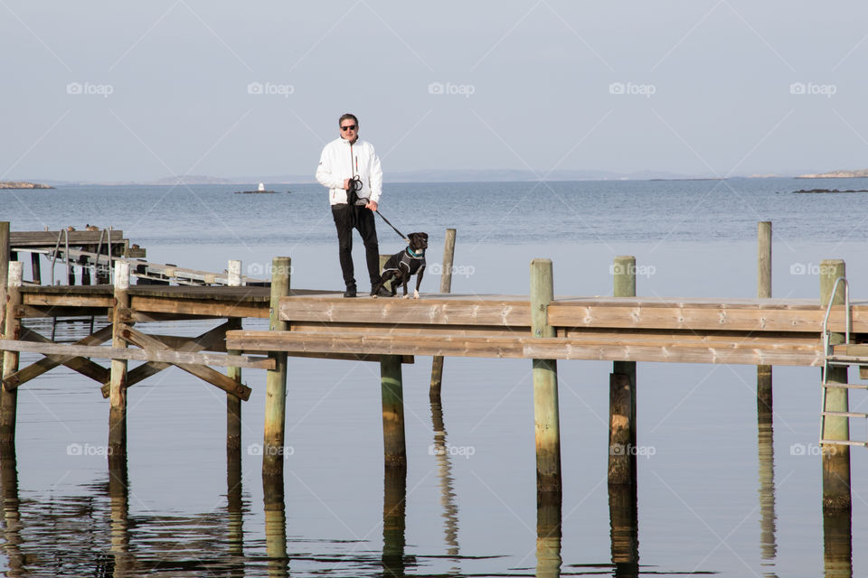 man walking the dog on wooden pier in fair weather - man hund promenad brygga hav vår 
