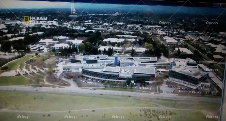 my summer camp  pick