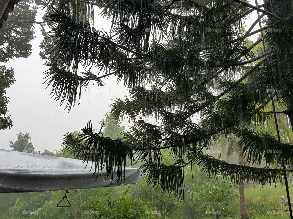 Rain in tropics