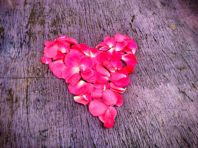 heart