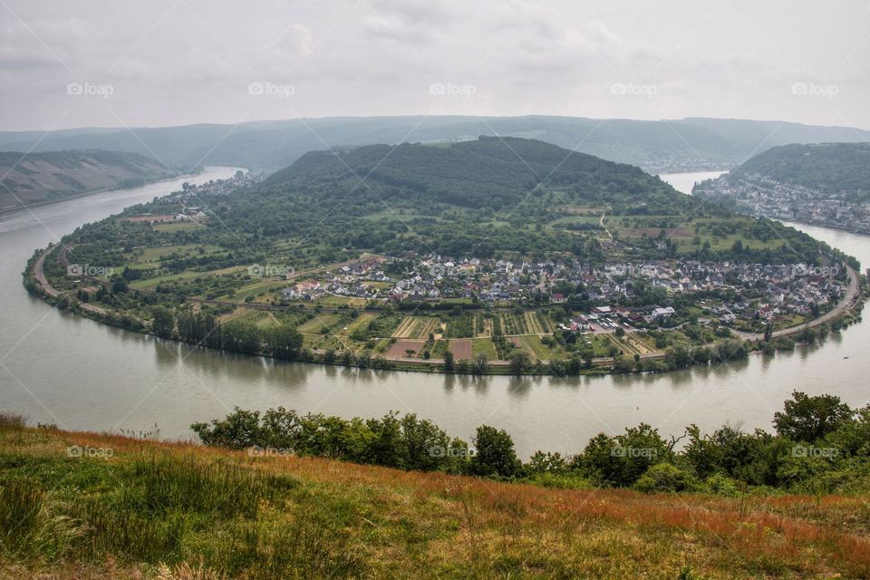 Rhine oxbow 