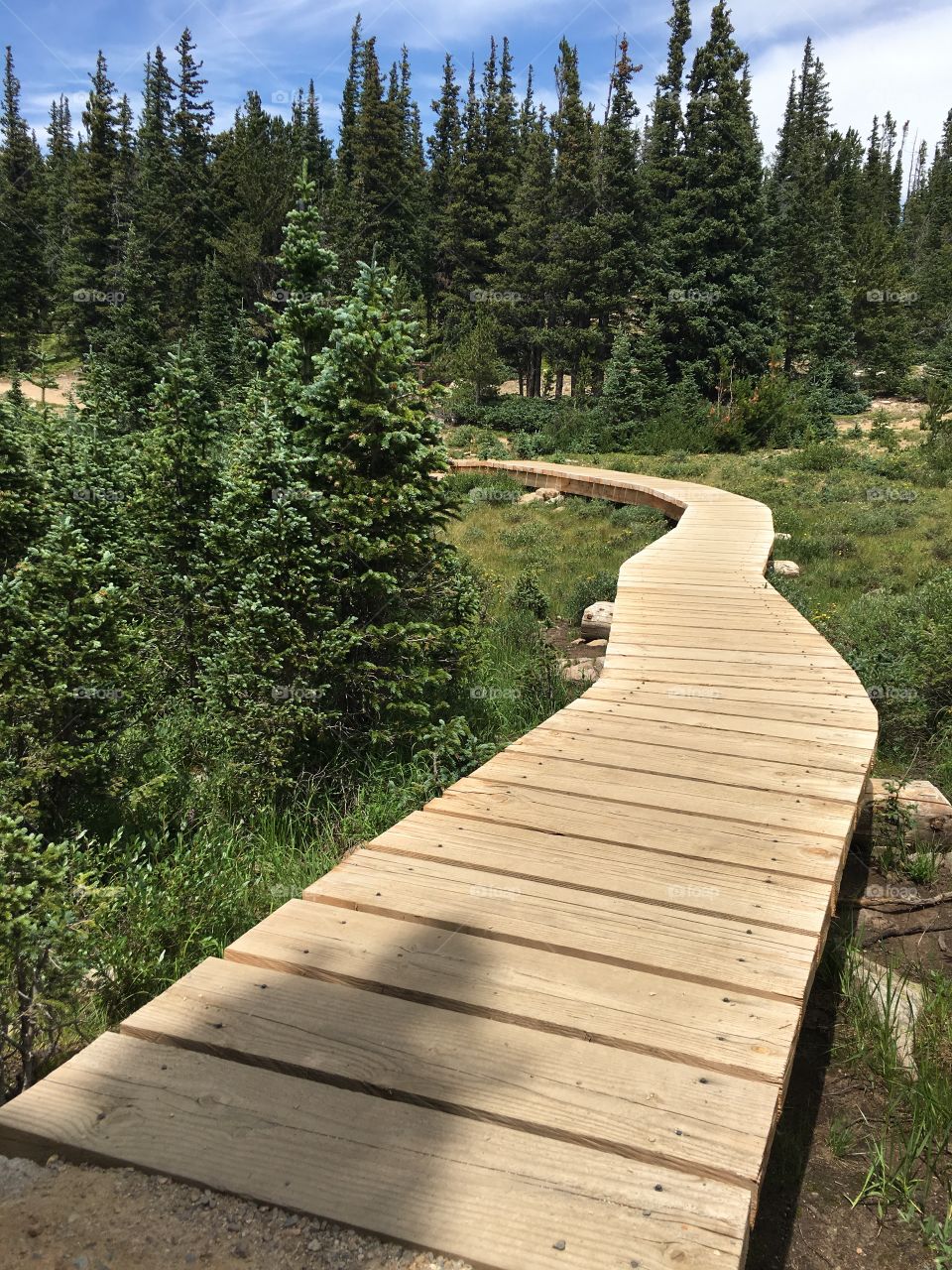 Take the path less travelled.