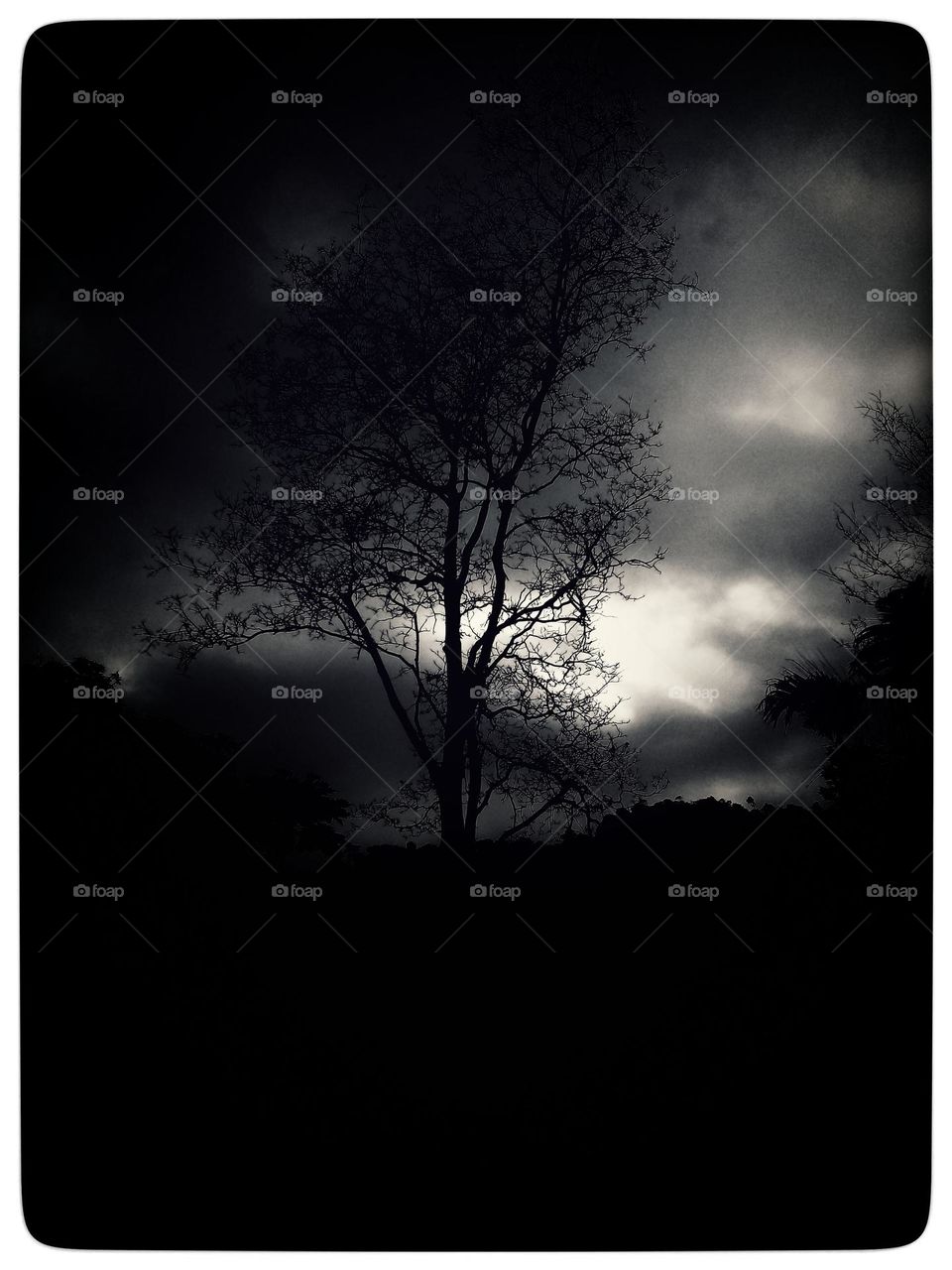 naturelove, sky, evening, black and white, beutiful