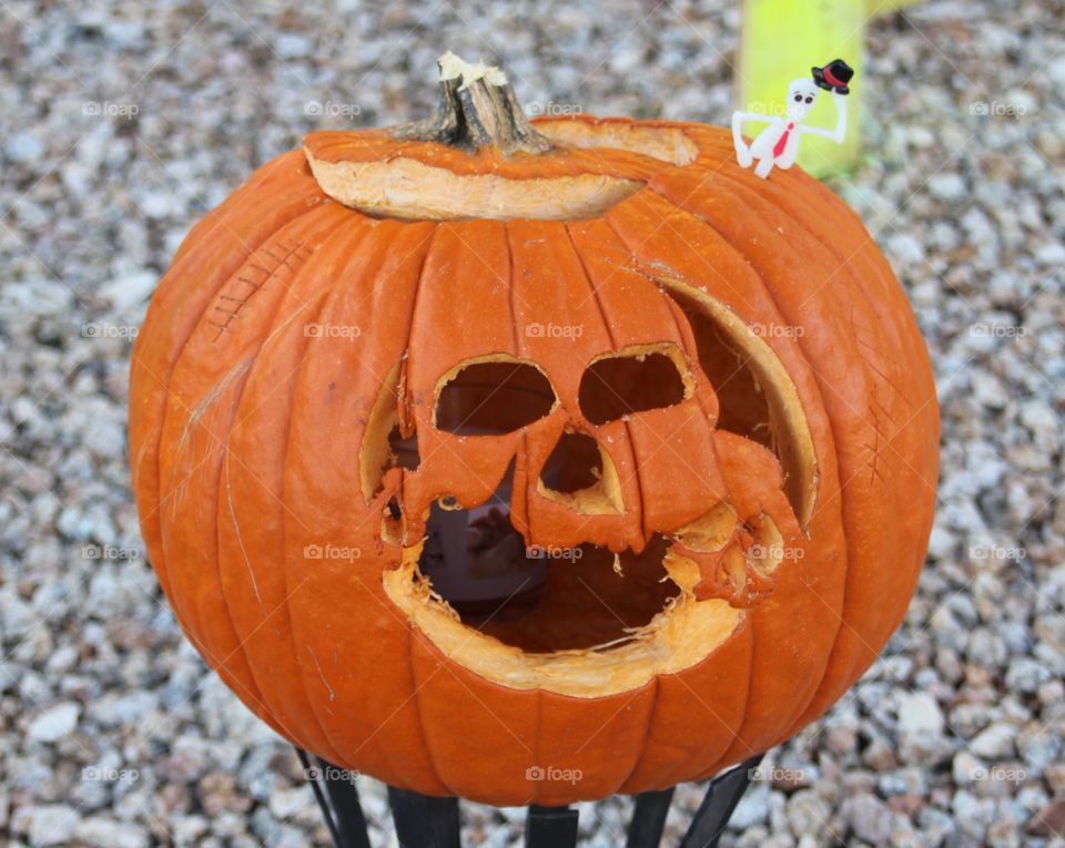 Carved pumpkin 