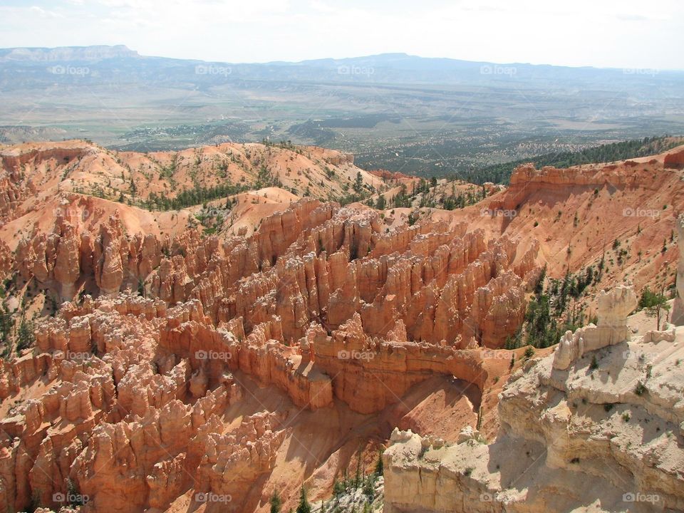 Bryce 