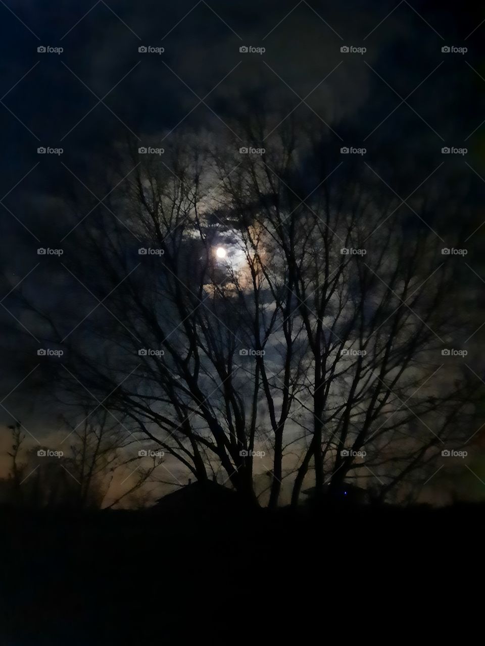 full moon behind clouds and black silhouettes of trees