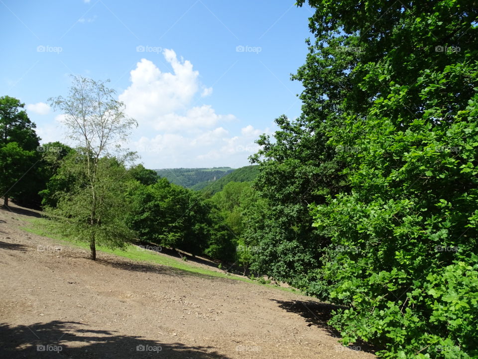 Landscape, Tree, Road, Nature, Wood