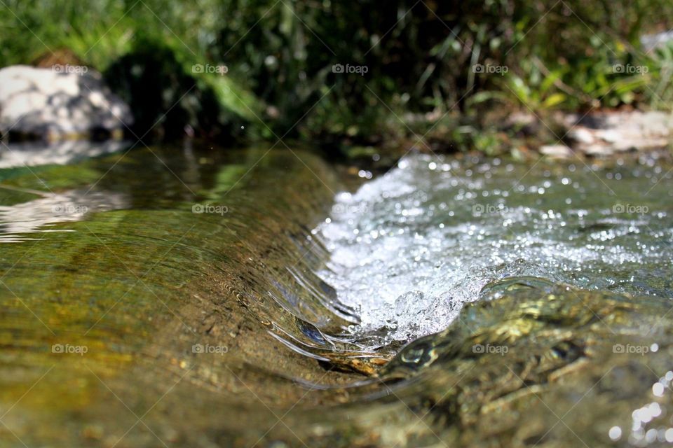 Soft water. A small creek, Laguna Lake, CA