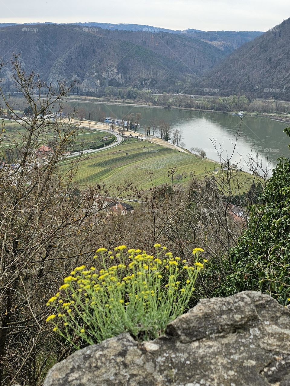 overlooking Danube in Dürnstein
