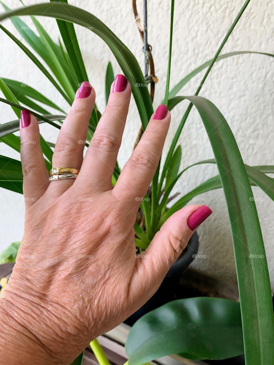 Hand touching a plant