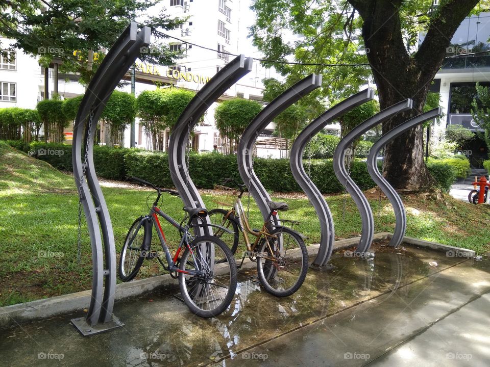 bicycle in  the park