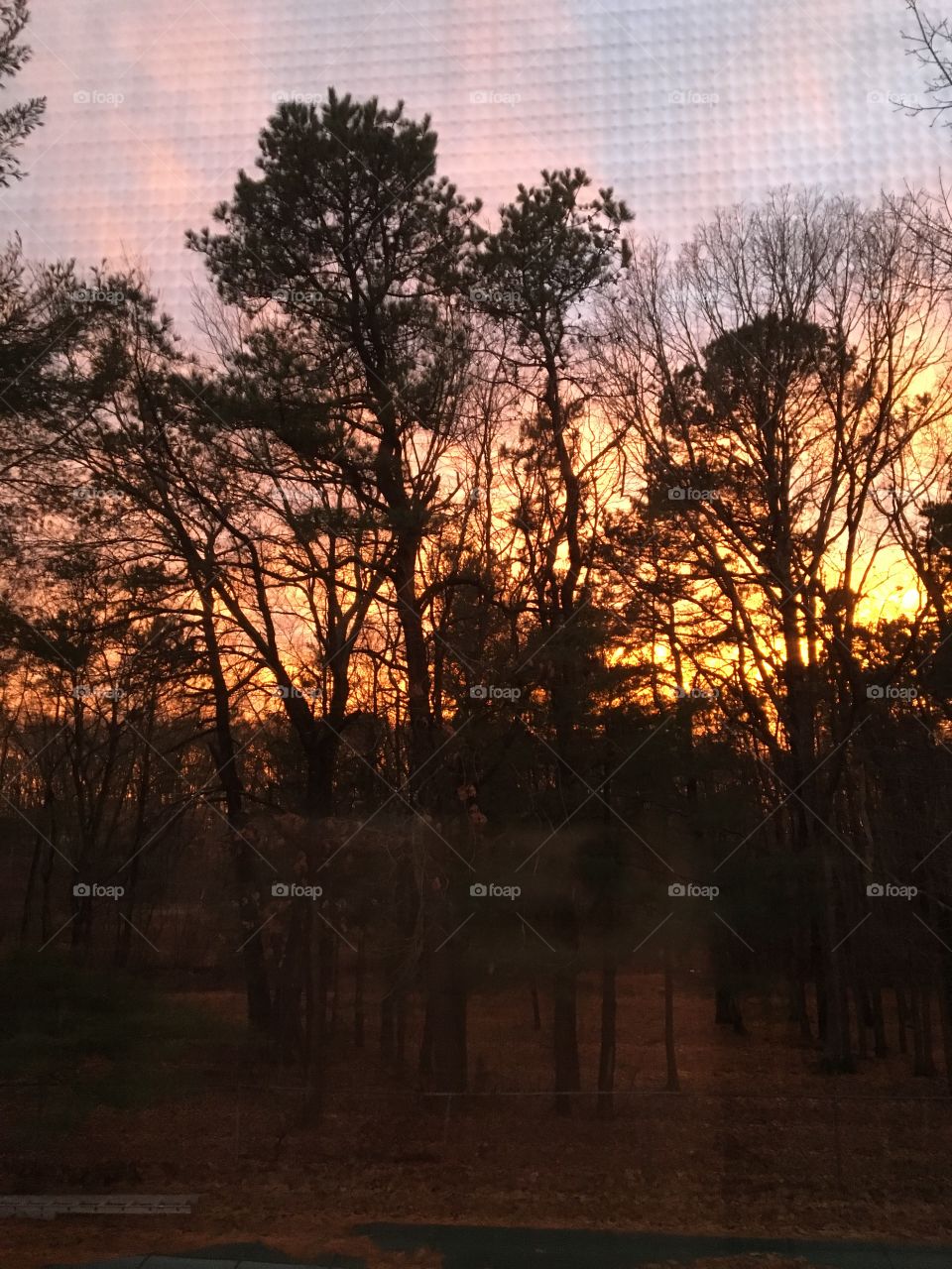 Pretty sunset through the screen. 