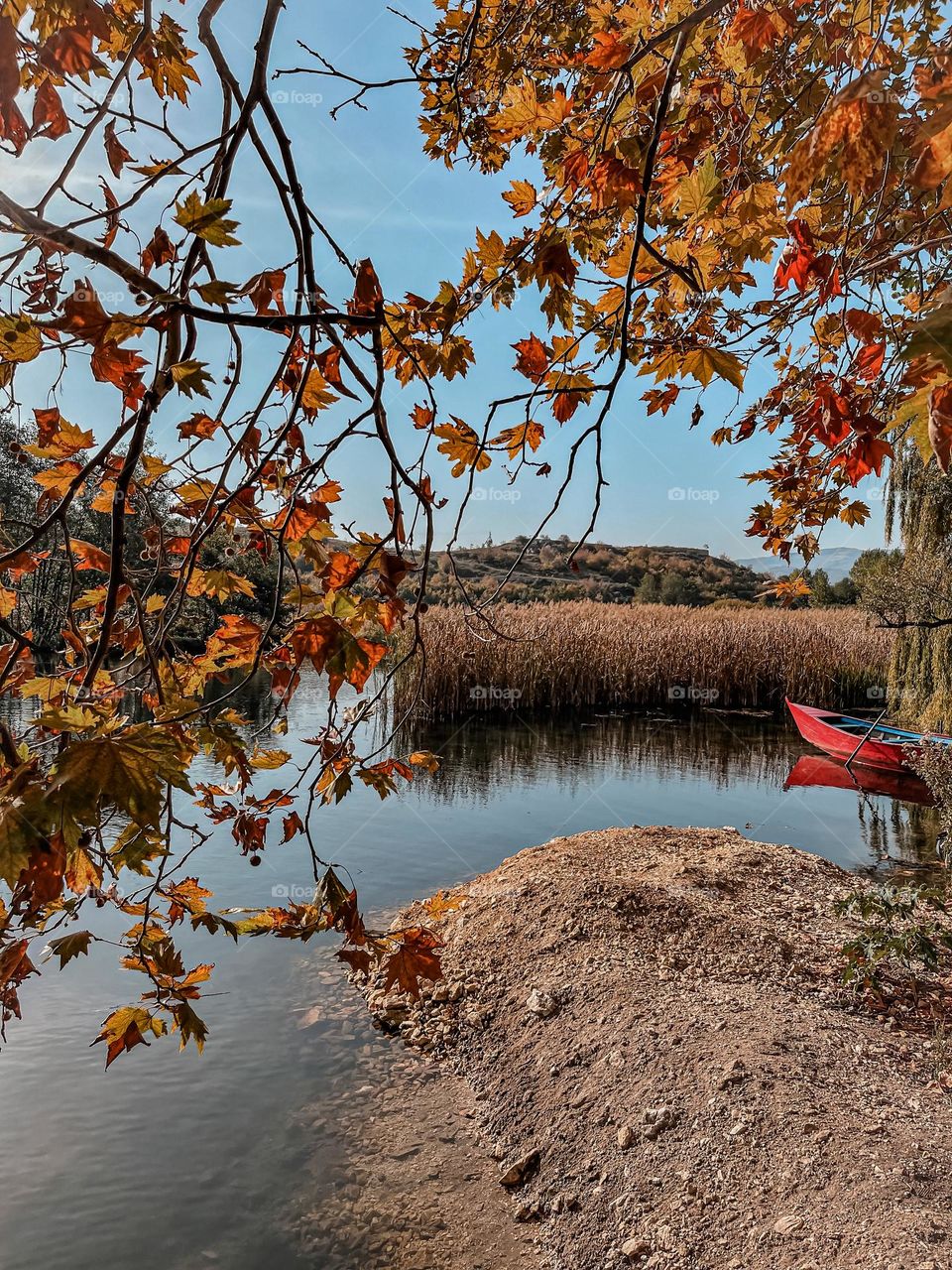 An autumn sunny day by the lake. The only noise are the vibrant fall colors.