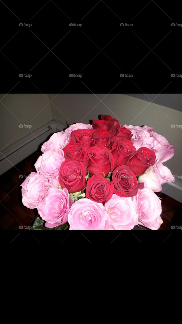 Pink & Red Roses. Roses are Red, Roses  are pink,you don't know what I think of you!