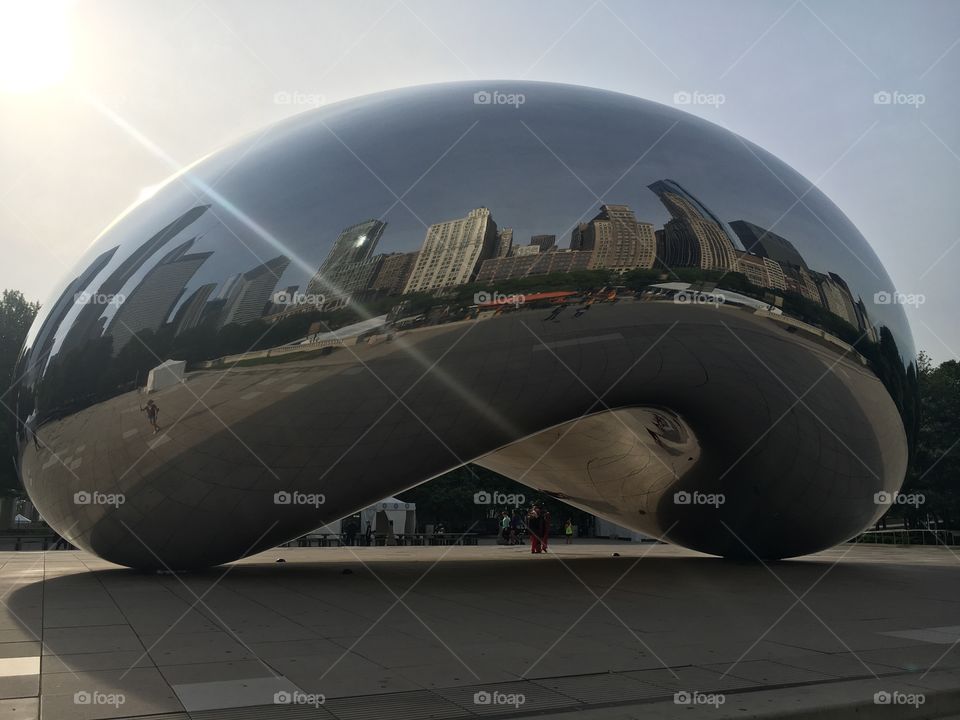 Chicago bean
