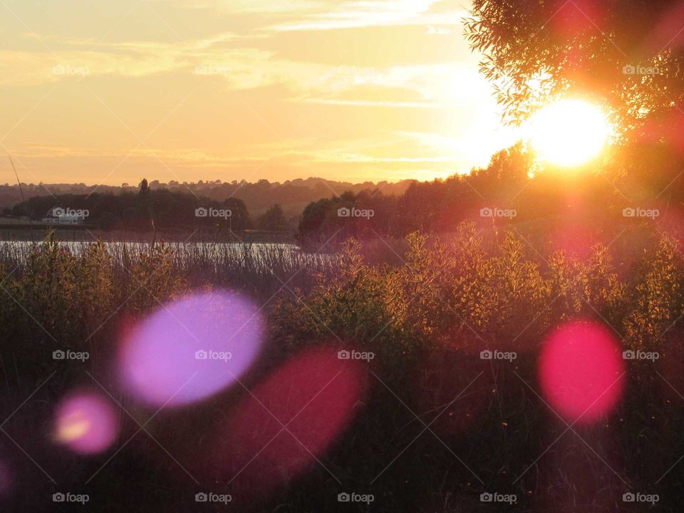 A sunset with a beam of light reflecting of the camera lens at chew valley lake in somerset