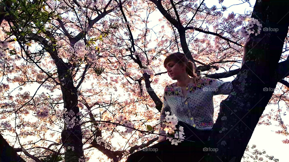 Girl sitting in a cherry tree