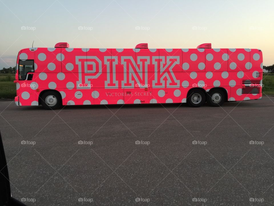 Pink bus 
