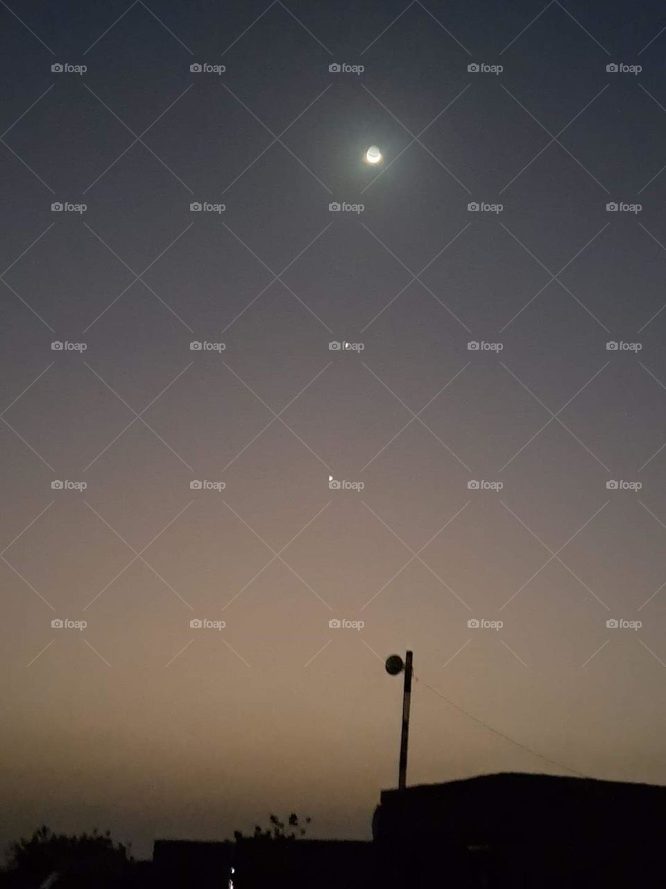 Moon, Jupiter and its flowers