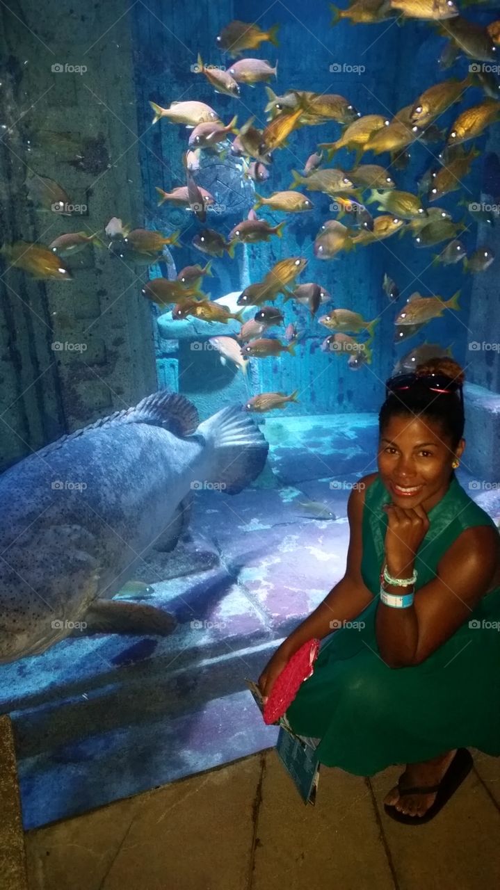 goliath grouper Atlantis resort aquarium.