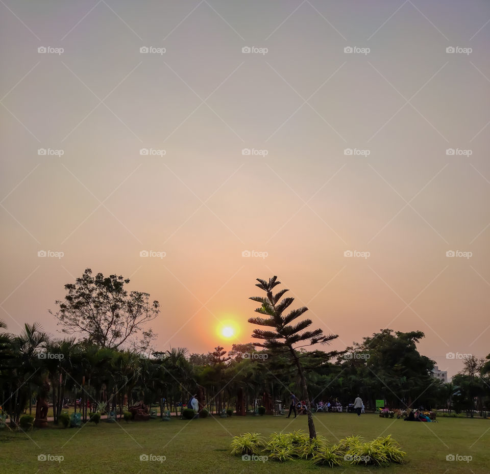 sunset image at a park with sky view and sun.