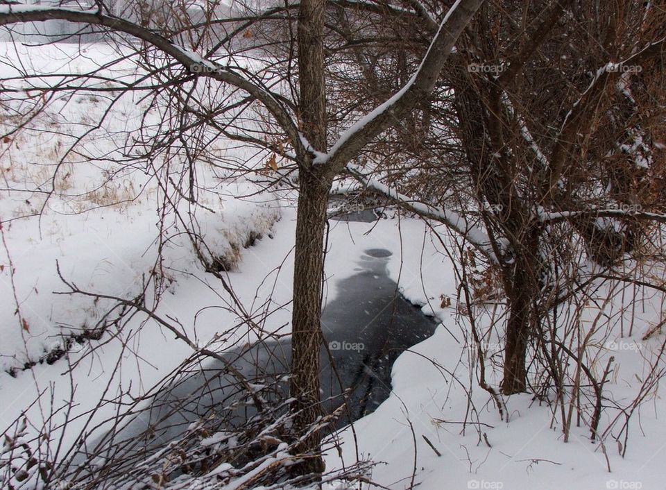 Winding stream 