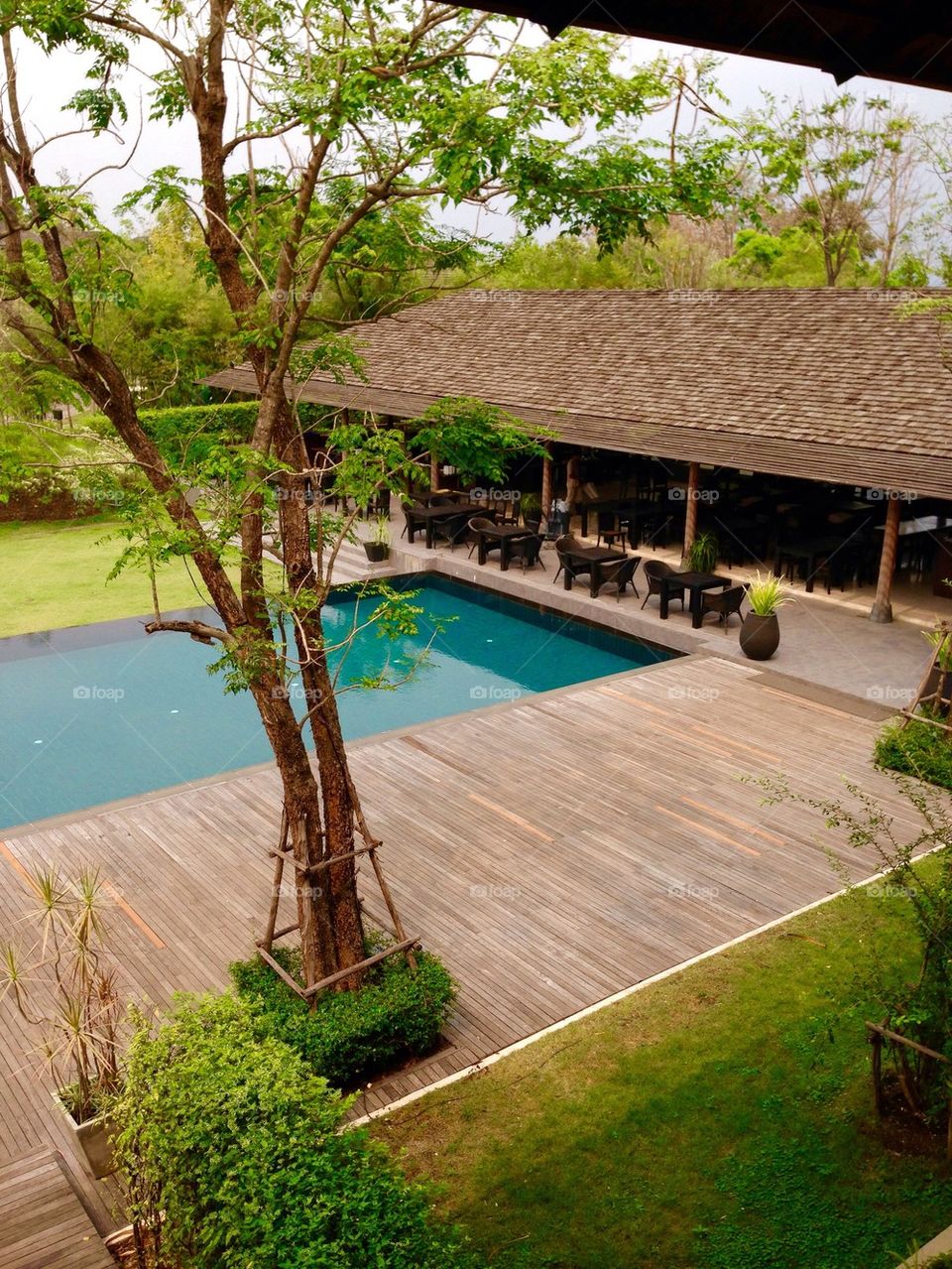 landscape of swimming pool and garden