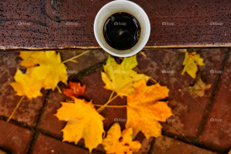 Coffee cup on the bench in the park in autumn