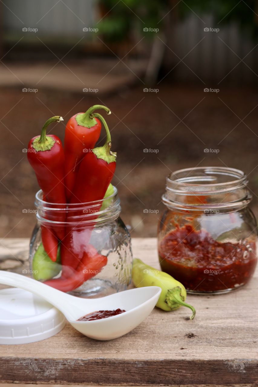 Winter preparations, putting up the harvest in this case red capsicum peppers chopped as a condiment, ladened into pint canning jars, outdoor rustic country farm setting 