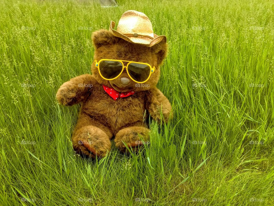 Summer Teddy