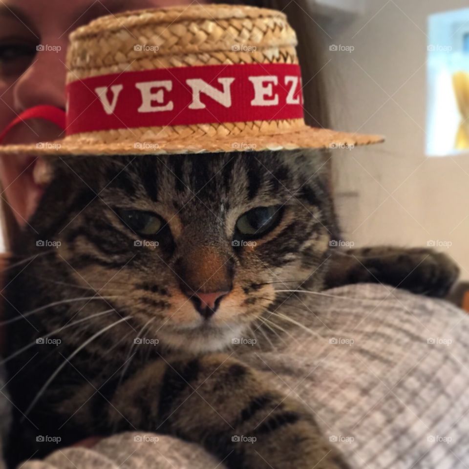 Hat from Venice  