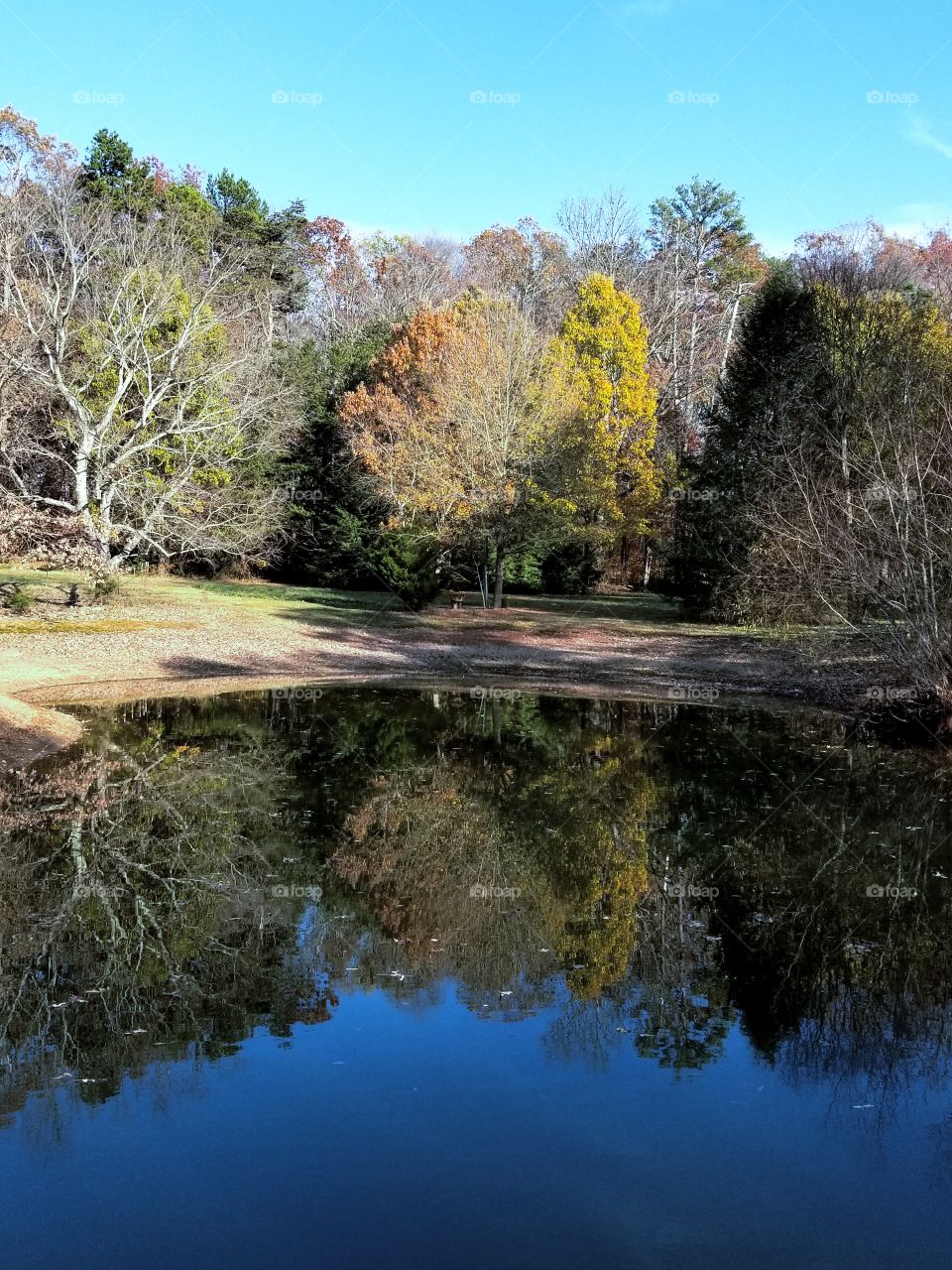 Fall reflection