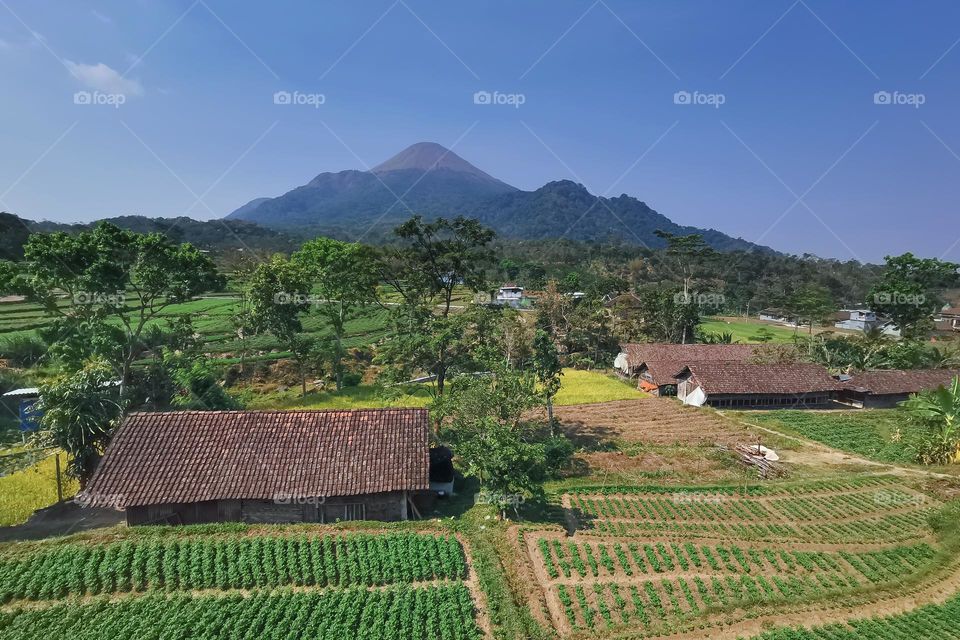 morning view of Trawas Hill