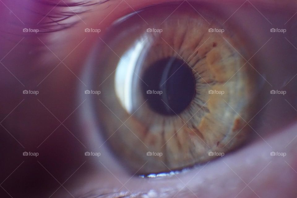 Eye#lashes#iris#reflect#lens#detail