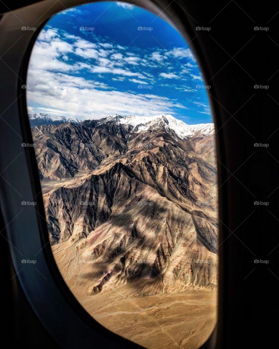 window view....nature true