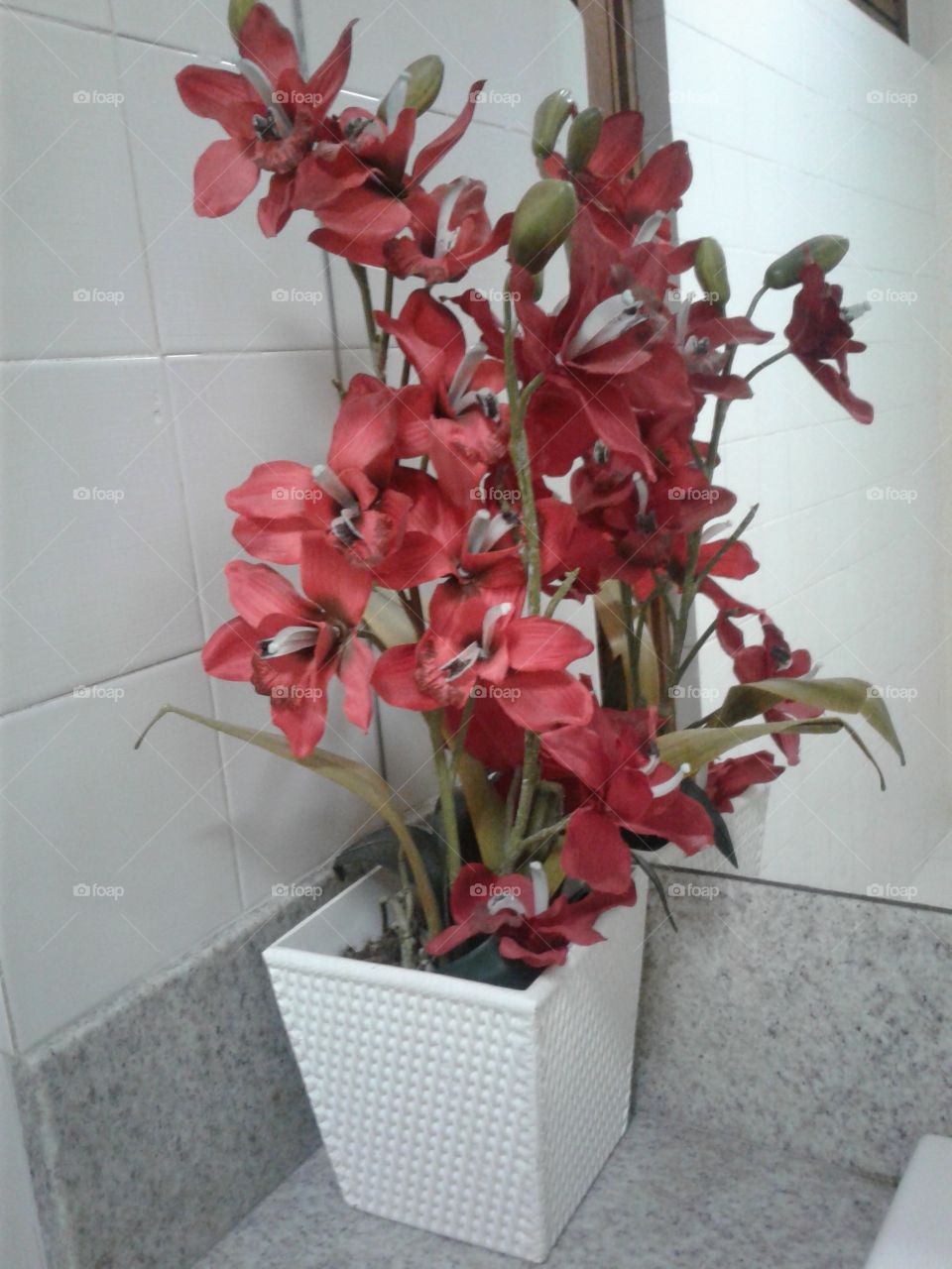 red flowers in pot