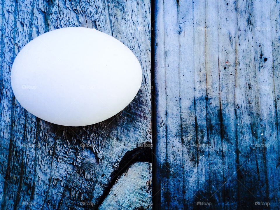 Egg on wood. A single egg sitting on a crate