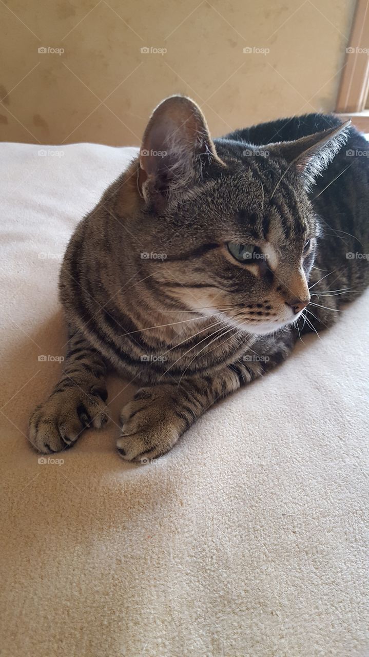 Say Hello To My Little Friend