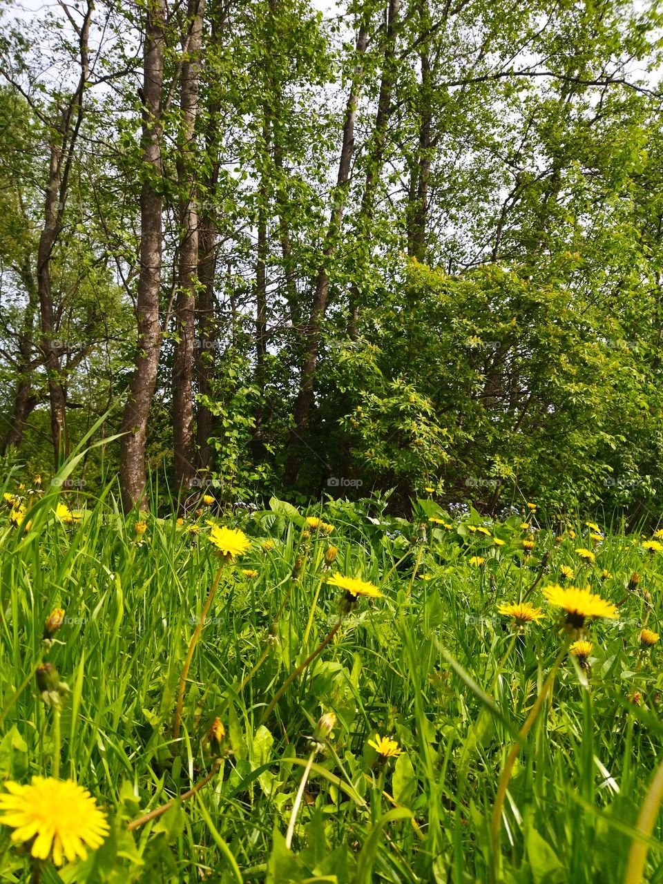 красивая природа